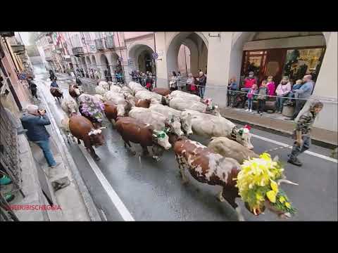 1^PARTE : TRANSUMANZA A DEMONTE : FIERA DI S.LUCA CON FINALE DEGIO E LA MULA. DOM. 9 - 10 - 2022.