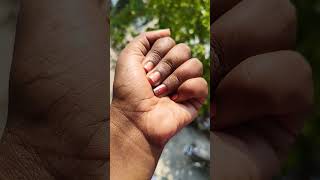 Download lagu Kumbang Asia yang belum pernah Anda lihat #anyuniquean🙍🪲🦋 mp3 Download lagu Kumbang Asia yang belum pernah Anda lihat #anyuniquean🙍🪲🦋 mp3