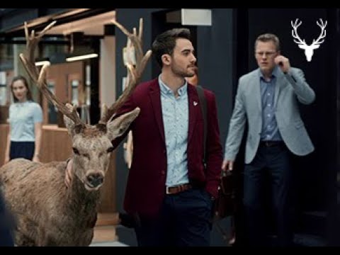 Open Work Culture - Perfect Way To Dress Up At Work | Allen Solly