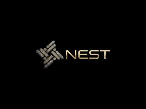 NEST — Product update