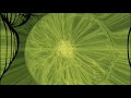 Ozric Tentacles - Aramanu [Visualization]