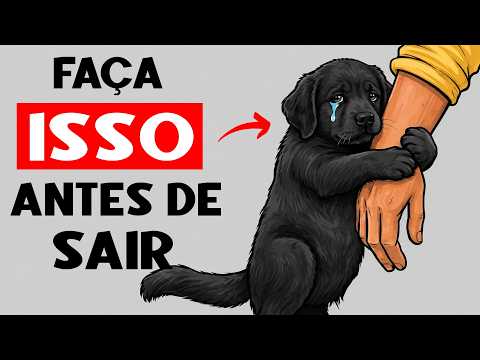 Antes de deixar seu cachorro sozinho, faça ISTO 🐾 por 30 segundos (Acalma na hora)
