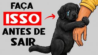 Antes de deixar seu cachorro sozinho, faça ISTO 🐾 por 30 segundos (Acalma na hora)