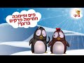 פים ופימבה חמישה פרקים ברצף