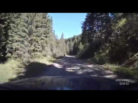 Pensiuni Oradea - Cazat.ro