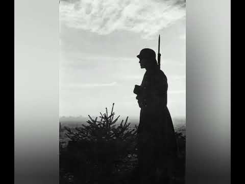 EwigerSturm - Kaiser Licht