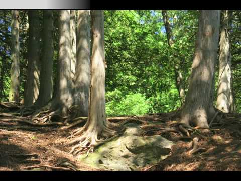 Rockwood Conservation Area