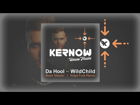 Da Hool •• Wildchild - Meet Master ( Kolya Funk Remix )