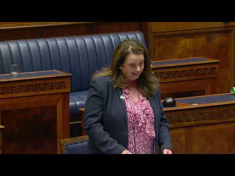Consideration Stage: Domestic Abuse and Family Proceedings Bill: Part 3