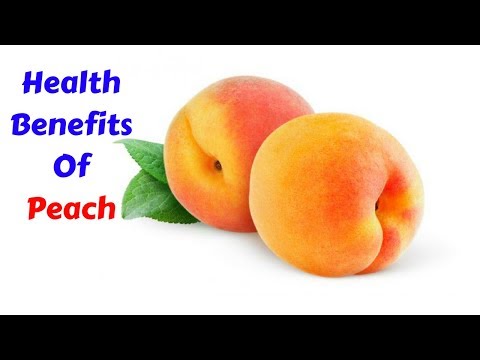 download lagu mp3 mp4 Peach Latin Name, download lagu Peach Latin Name gratis, unduh video klip Peach Latin Name