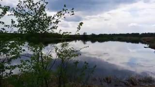 Платная рыбалка в пензенской области