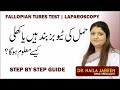 What Is Laparoscopy Tube Test In Urdu Tubes Khule Hn Ya Band Kesy Pata Chly Ga Blocked Tubes