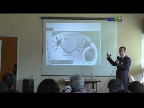 EPILEPSIE. HOPITAL DE JOUR DE CRETEIL FONDATION LEOPOLD BELLAN.  AVEC DR VILLAFANE GABRIEL. .