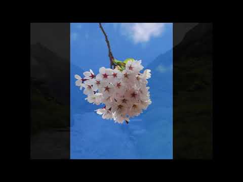 Door en door goed - opwekking 836