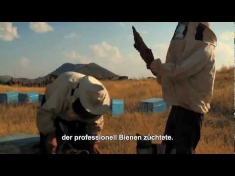 DER IMKER (ein Film von Mano Khalil) | im kult.kino Basel