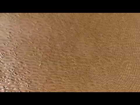 Playa de Laida. Urdaibai Carmina Burana