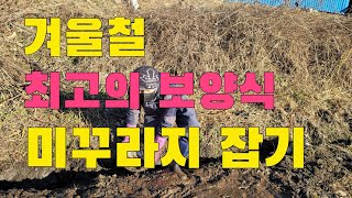 겨울 보양식 이런 곳에 가서 미꾸라지 잡아 추어탕먹어보자 (미꾸라지잡는법)