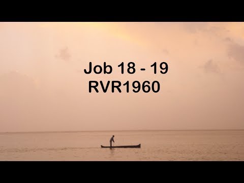 La Biblia en un año/Job 18 - 19 (Audio, Letra) Día 141