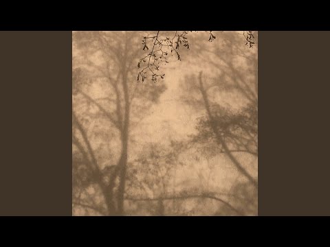 The Dark, The Light (Extended Version)