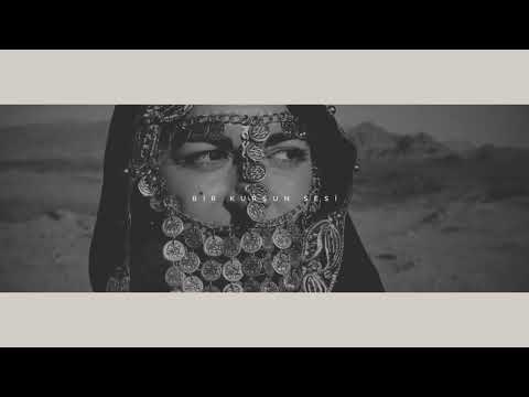 KENDİMİ VURDUM - Şanışer Verse