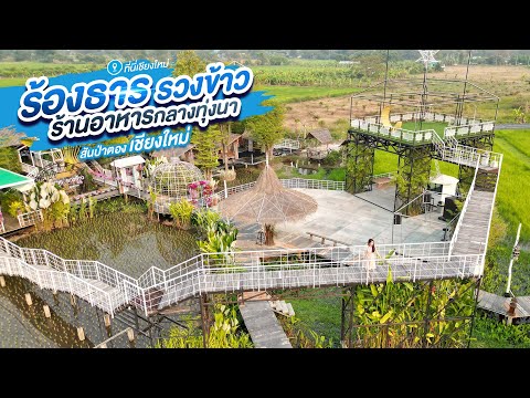 ขาย/ขายฝาก/ให้เช่า กิจการรีสอร์ทและร้านอาหาร เชียงใหม่ | Sales Resort & Restaurant in Chiang Mai |  清迈度假村及餐厅出售 – รูปที่ 2