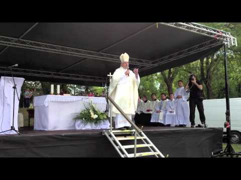 SHKM u Sisku - propovijed biskupa Mate Uzinića 6.5.2012., Petrinja