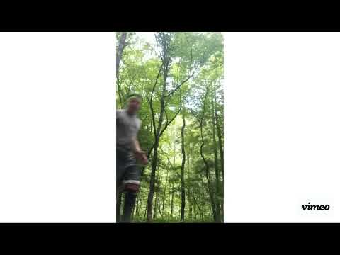 James Runs Like Tony Perkis (heavyweights)