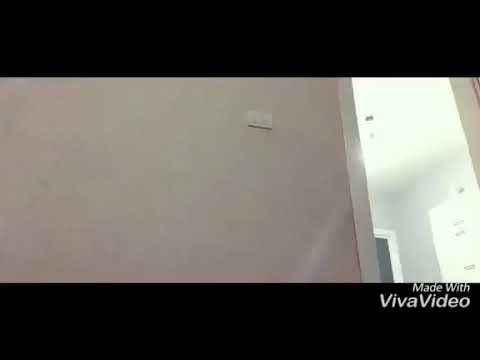 gjermani vs shqiptari frika