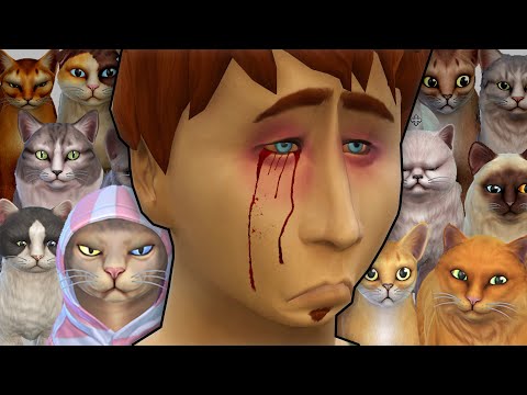 Forcing a dog-lover to live with dozens of cats turns into an absolute nightmare