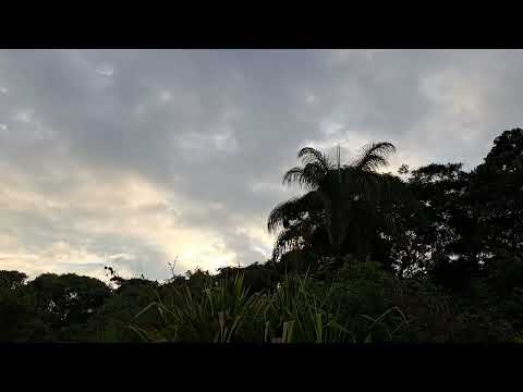 John Surman & Jack DeJohnette with The Balanescu Quartet, London (1990)