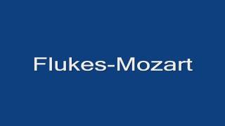 Flukes-Mozart riddim