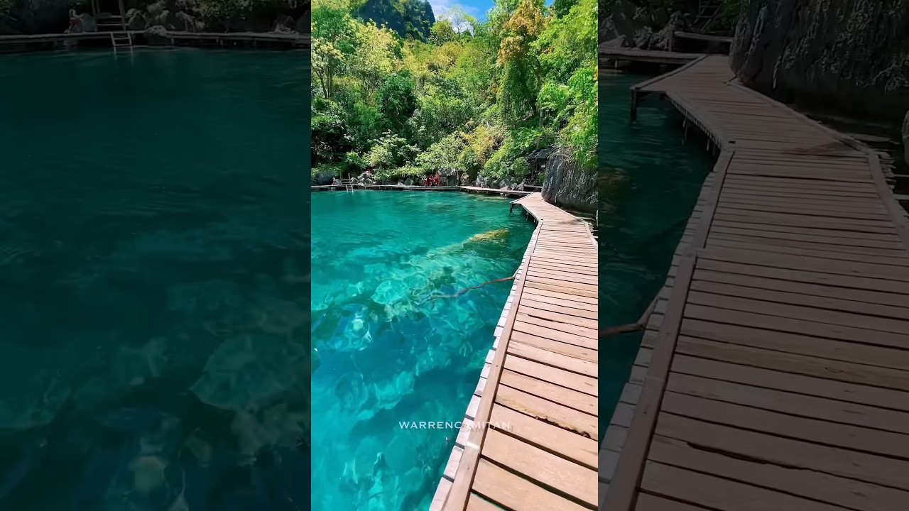 YouTube Short thumbnail