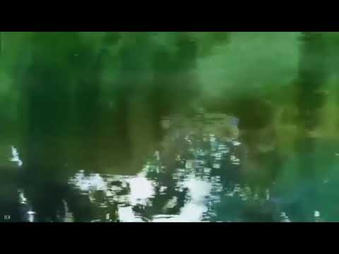 Bonbibonkers - Sad Hours