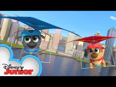 新年ボブ｜パピー・ドッグ・パルズ｜ディズニージュニア (New Year, New Bob | Puppy Dog Pals | Disney Junior)