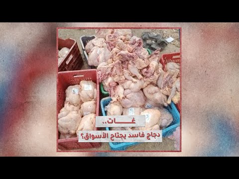 «تحقيقات»: غات.. دجاج فاسد يجتاح الأسواق