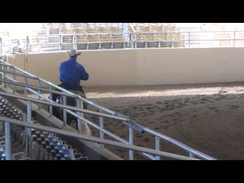 Wimpys Major Affair Josh 1)