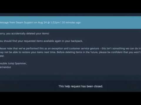 Dear Steam Support, Thank You