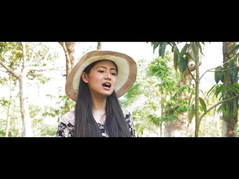 Aseni Sailo (Zoremtluangi) "LALPA KA INPEIH E" [Official Video]