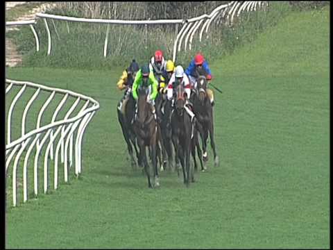 Galoppo 29/03/2016 - 2° corsa