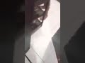Nyoba PSK Desahannya Bikin Nagih