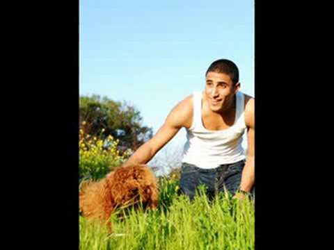 Boaz Mauda - Guest In The World