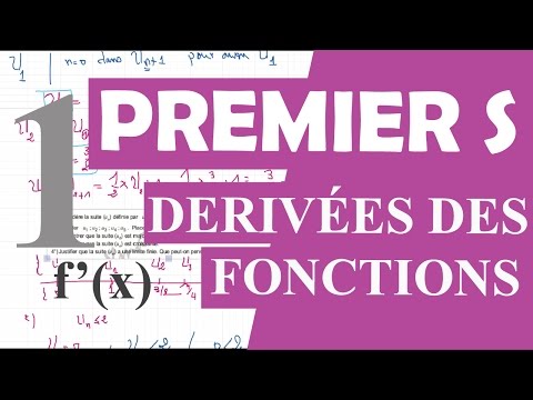 Premier S- Dérivées des fonctions usuelles - Partie 1