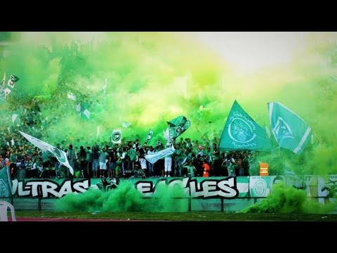 ULTRAS OF RAJA CASABLANCA SINGING FOR PALESTINE (With Translation)