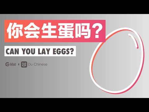 你會生蛋嗎？
