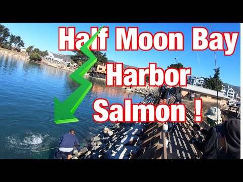 YouTube video about: Where to fish in half moon bay?