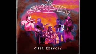 Music video thumbnail preview for Skaldowie  - Srebrny maszt  ( live 1976 r } by Skaldowie