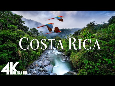 Costa Rica Rainforest 4k - Happiest Country On Earth With Exotic Wildlife | Scenic Relaxation Film