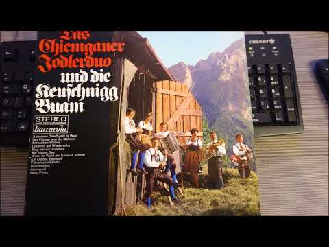 DAS  CHIEMGAUER  JODLERDUO UND DIE KEUSCHNIGG  BUAM  12  TITEL   1993