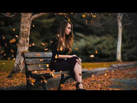 AUEL x Alectricz - FALLING LEAFS