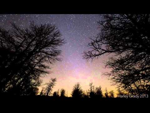 Fato/Feto - Intermezzo #2